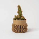 Cache-pot éco-responsable en impression 3D, fabriqué au Québec
